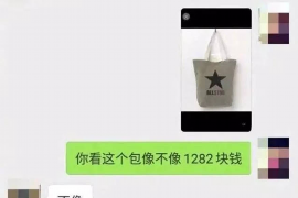 兰州为什么选择专业追讨公司来处理您的债务纠纷？